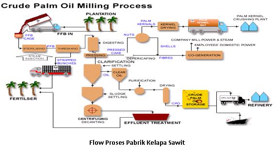 Proses Pengolahan Minyak Cpo Dari Kelapa Sawit Di Pabrik Pks Lp Stm Sexiz Pix